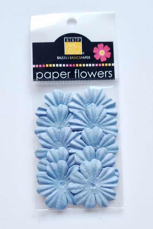 Flowers - 1" Primula - Slate Blue
